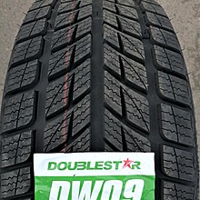 Double Star DW09 255/50 R19 107T