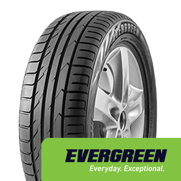 Автомобильные шины Evergreen DynaControl ES880 315/35 R20 110Y