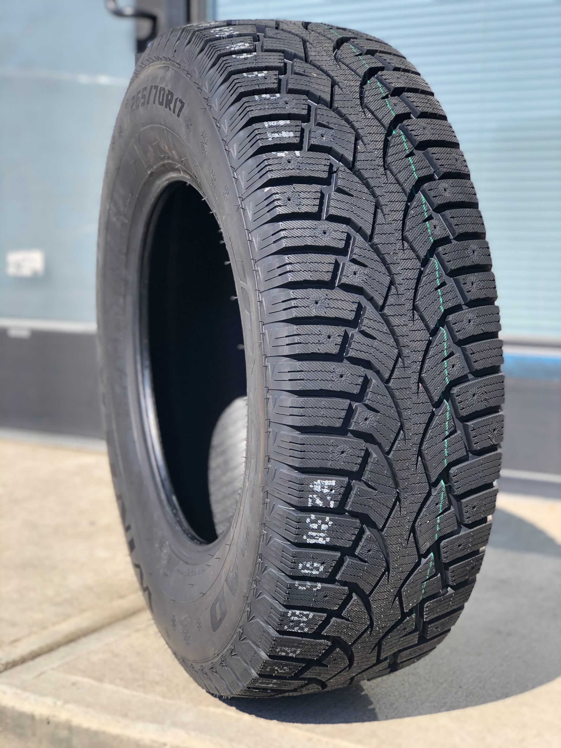 Автомобильные шины Centara Snow Cutter 205/55 R16 91T