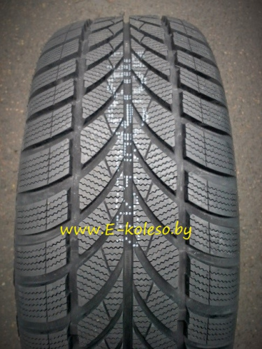 Автомобильные шины Maxxis WP-05 Arctic Trekker  175/70R14 88T