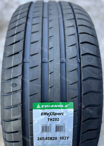 Автомобильные шины Triangle EffeXSport TH202 245/45 R20 103Y
