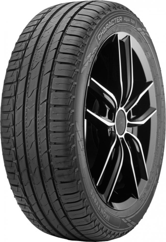 Автомобильные шины Ikon Tyres Character Aqua SUV 265/60 R18 110V