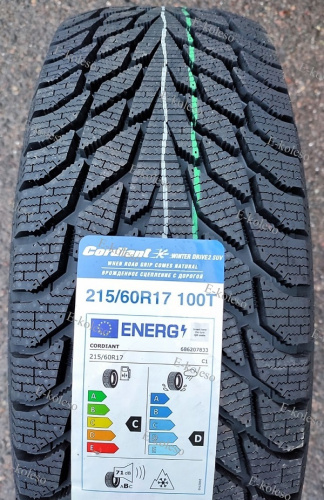 Автомобильные шины Cordiant Winter Drive 2 SUV 215/60 R17 100T
