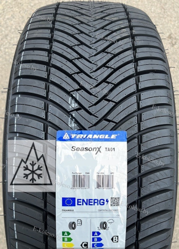 Автомобильные шины Triangle SeasonX TA01 195/55 R16 91V